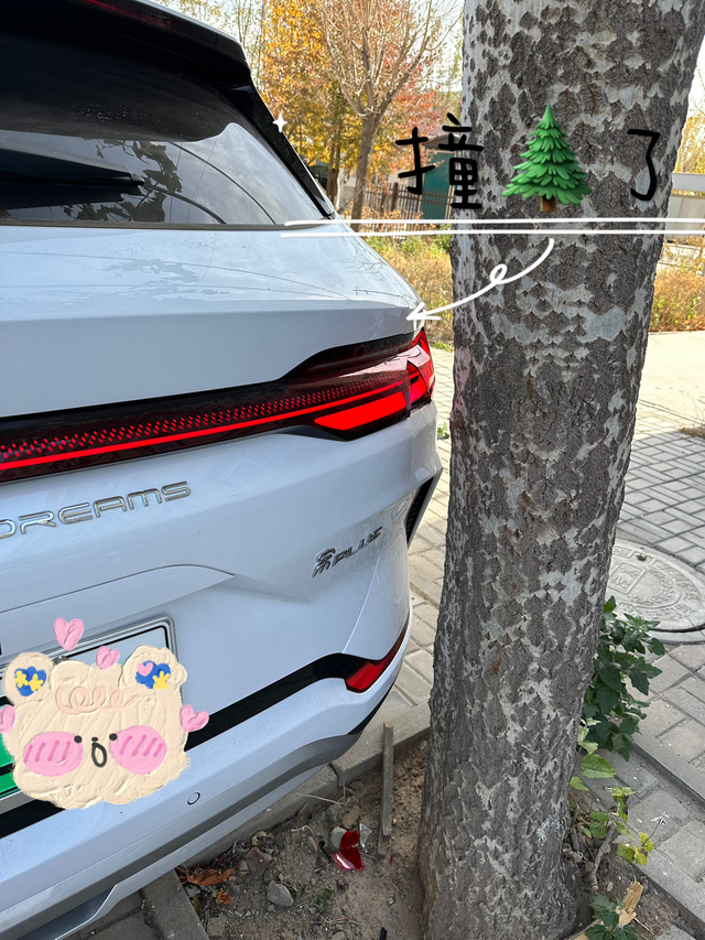 大家给个主意感谢倒车撞树上了，后备箱盖受挤压，一侧有一点点鼓起来，去4儿子店，