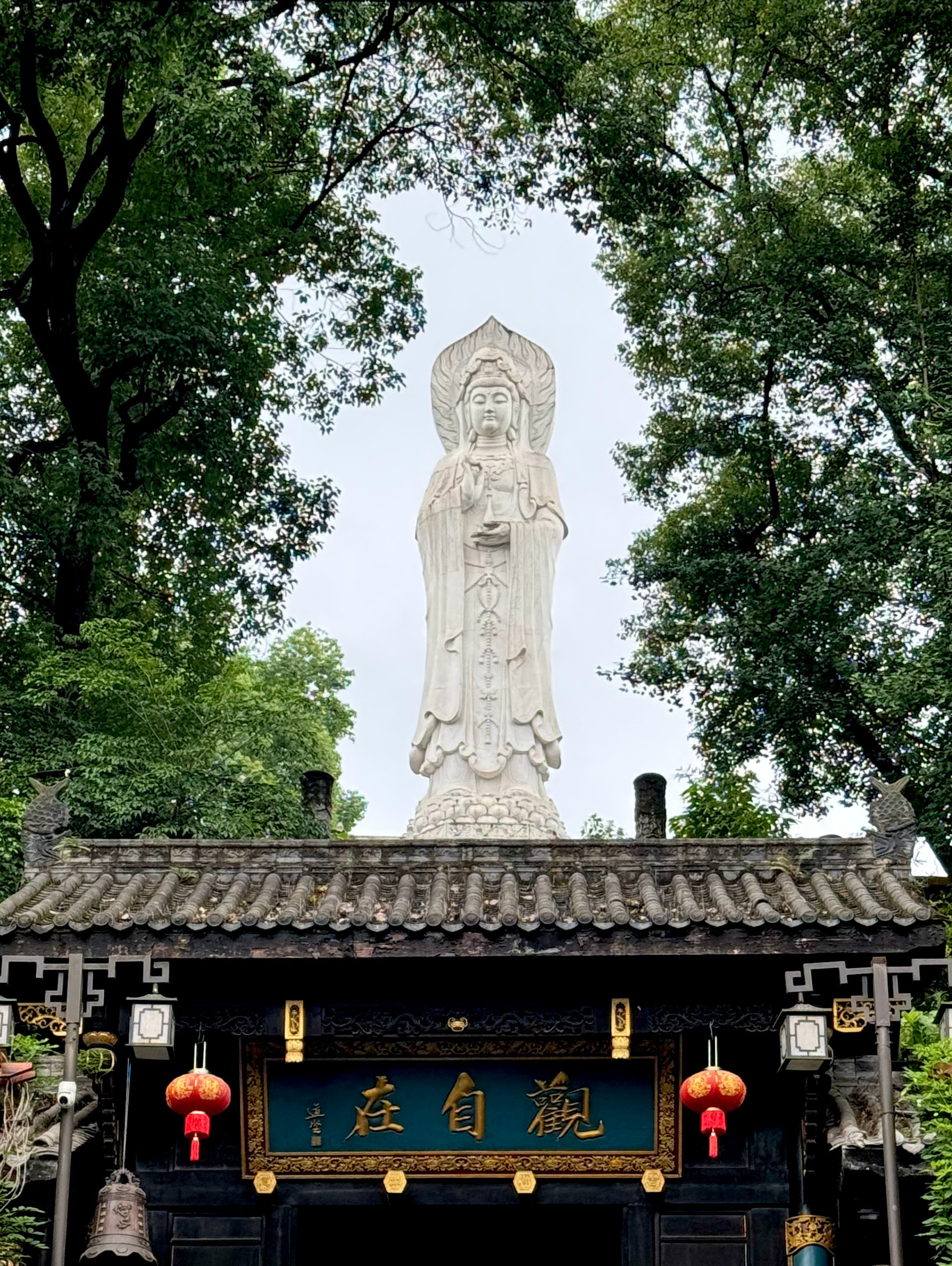 一笔一划，皆是修行🪷​​​