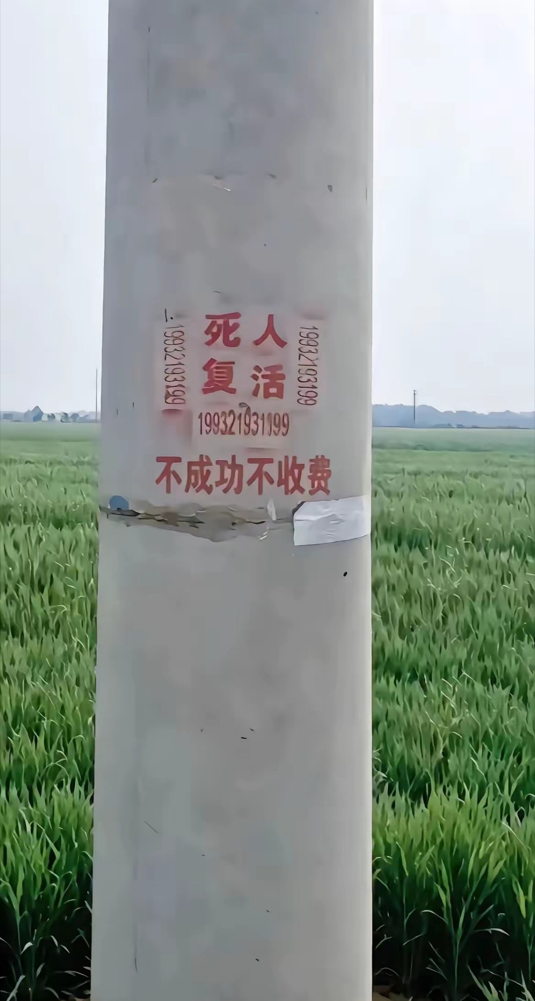 这个骗局都多少年了