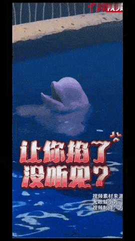 太有灵性了！12月7日报道大连一男子在海洋馆内抽烟，一女性工作人员前来劝阻，让他