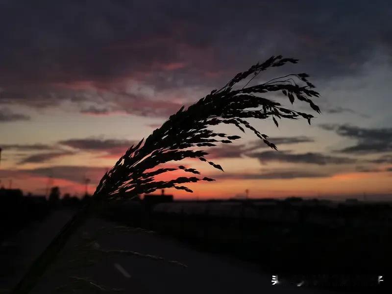 世间痛苦多，原因还挺复杂。有人说人类痛苦源于对真相不明了。咱们生在世上，忘了自己