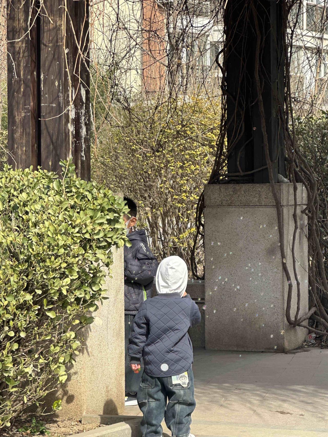 和婆婆同住，睡懒觉成了奢侈？！回婆家这段日子，每天天还没亮，就看到楼下厨房的