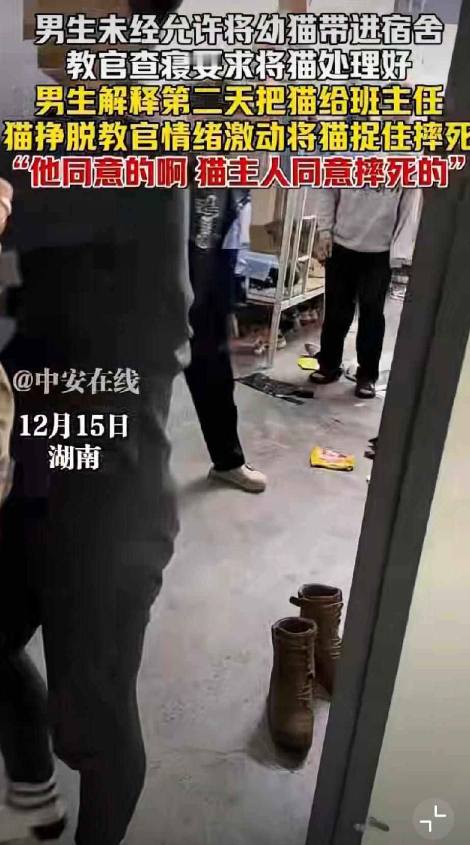 网曝，湖南一职校教官查寝，连续两次将学生带的幼猫摔在地上，猫咪已去喵星。（来源：