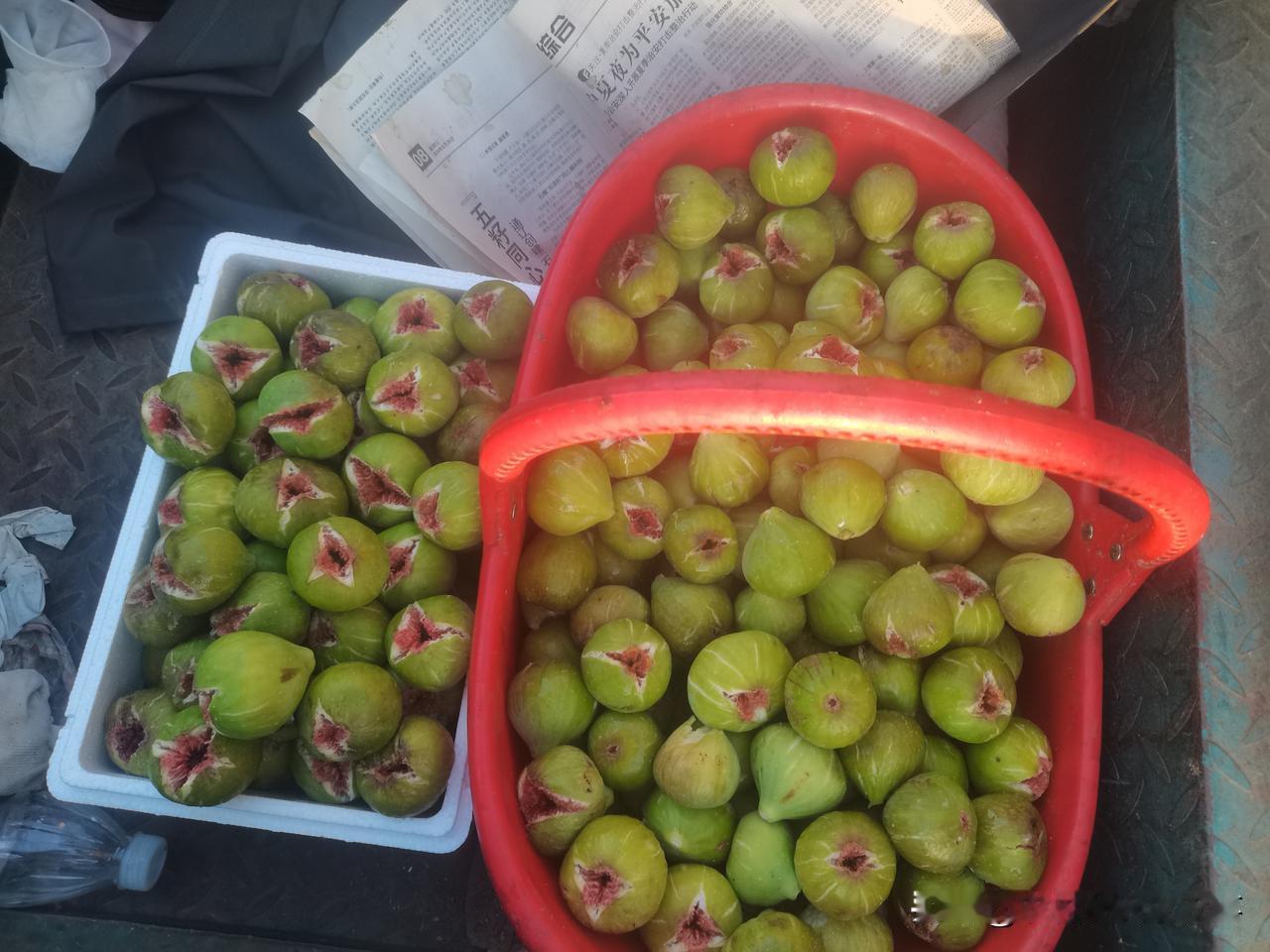 再也不拣了。看果农大哥准备把卖剩下的无花果倒垃圾桶，我制止了大哥，我说您既然不