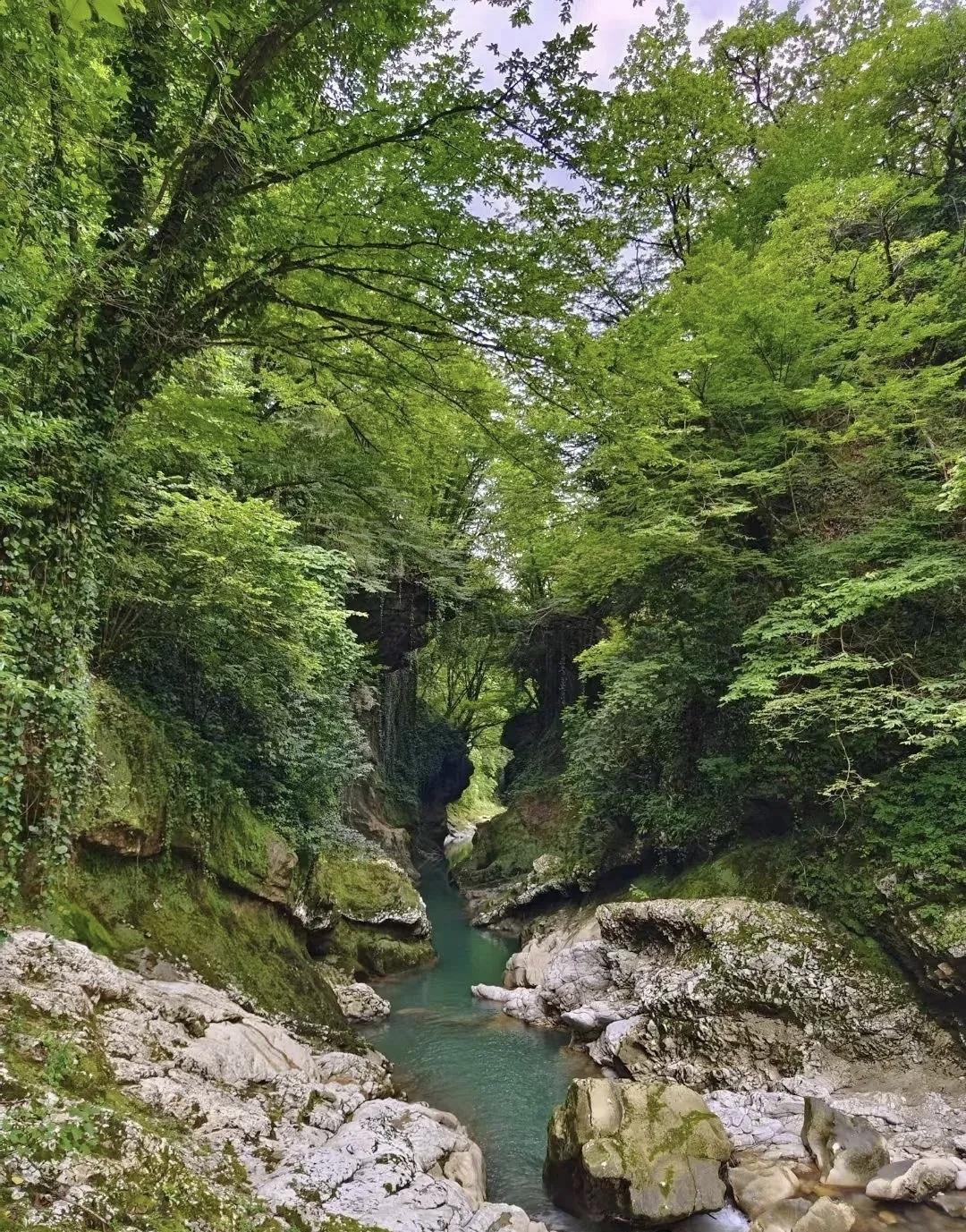 你的心态越松弛，结果往往越好。当你迫切期待某个结果，每天都深陷紧张焦虑的情绪中不
