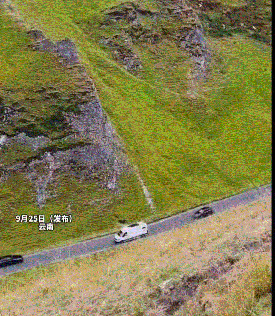 万物皆有灵。云南，一只母羊在山坡上吃草时因腿下打滑，意外从山坡上滚下山来，随即山