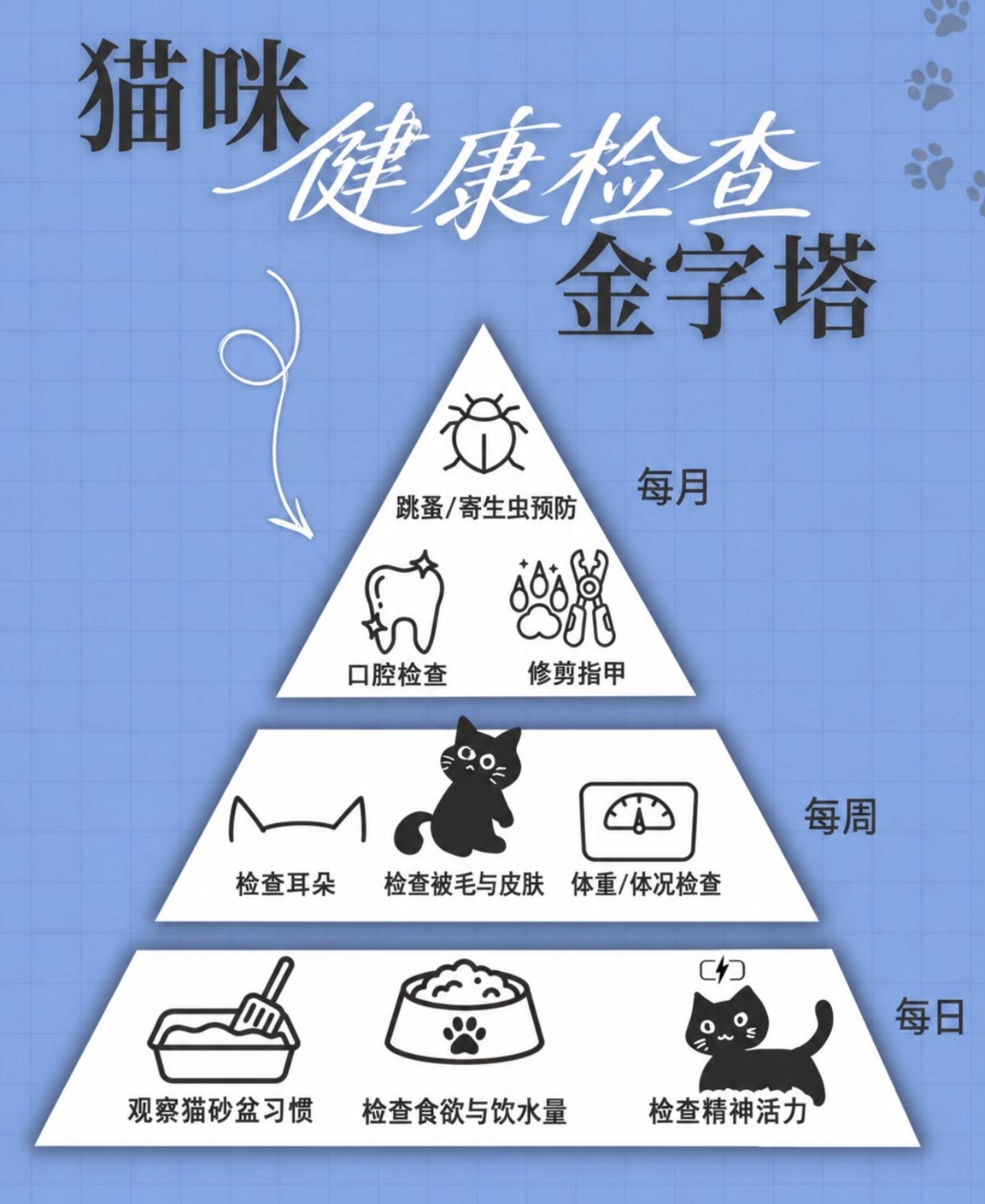 "每一位养猫人都必须了解，建议收藏"