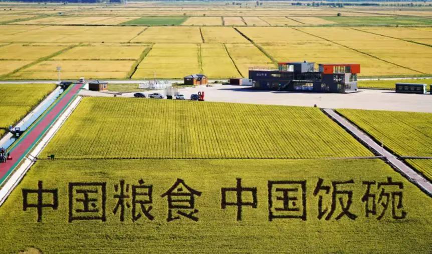 世界十大粮食生产国全球粮食安全的基石，由少数几个农业强国共同筑牢。据联合国粮