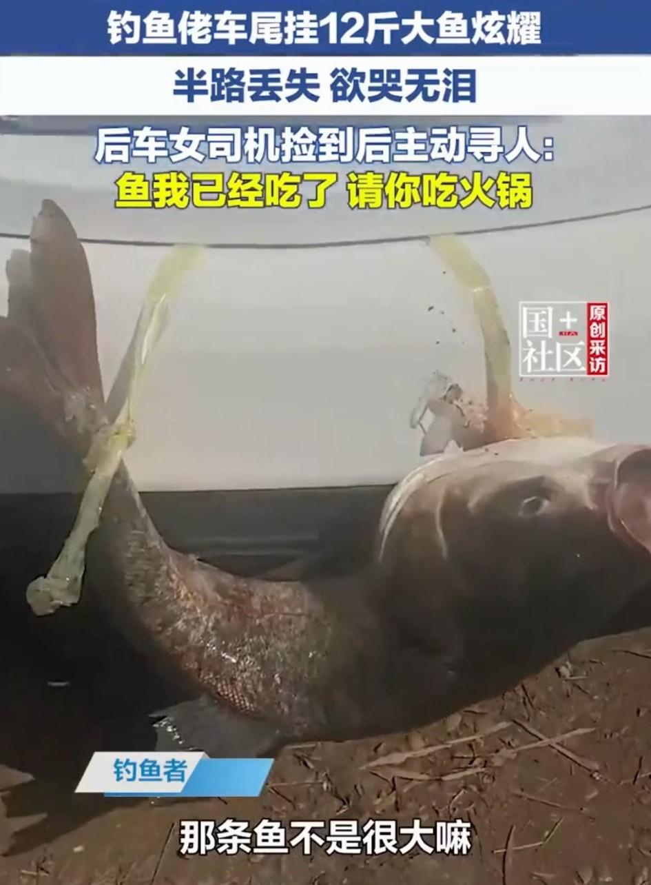 笑不活了！重庆，一男子这天去钓鱼时，运气爆棚的钓到一条12斤重大鱼。满心欢喜的男