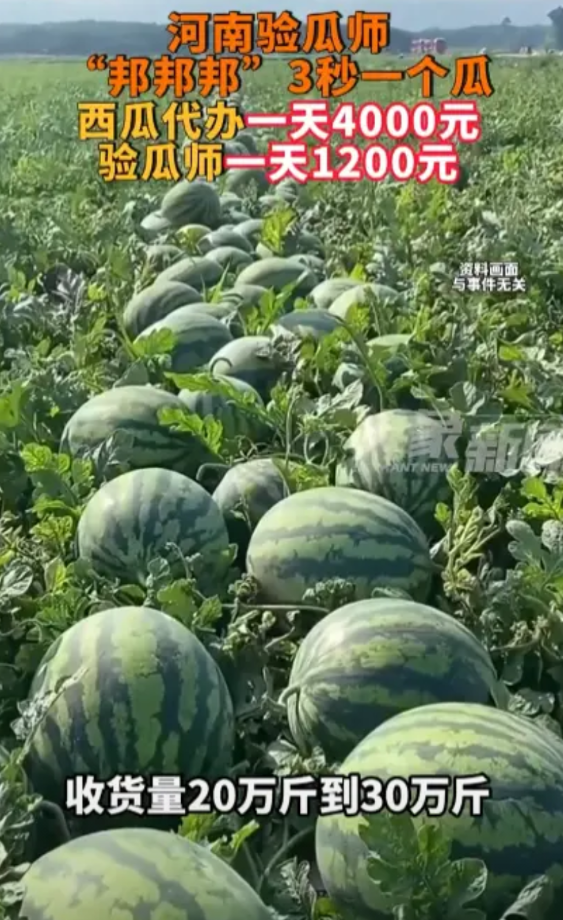 “这和捡钱有什么区别！”河南商丘，一男子一天工作10几个小时，就能收入1200元