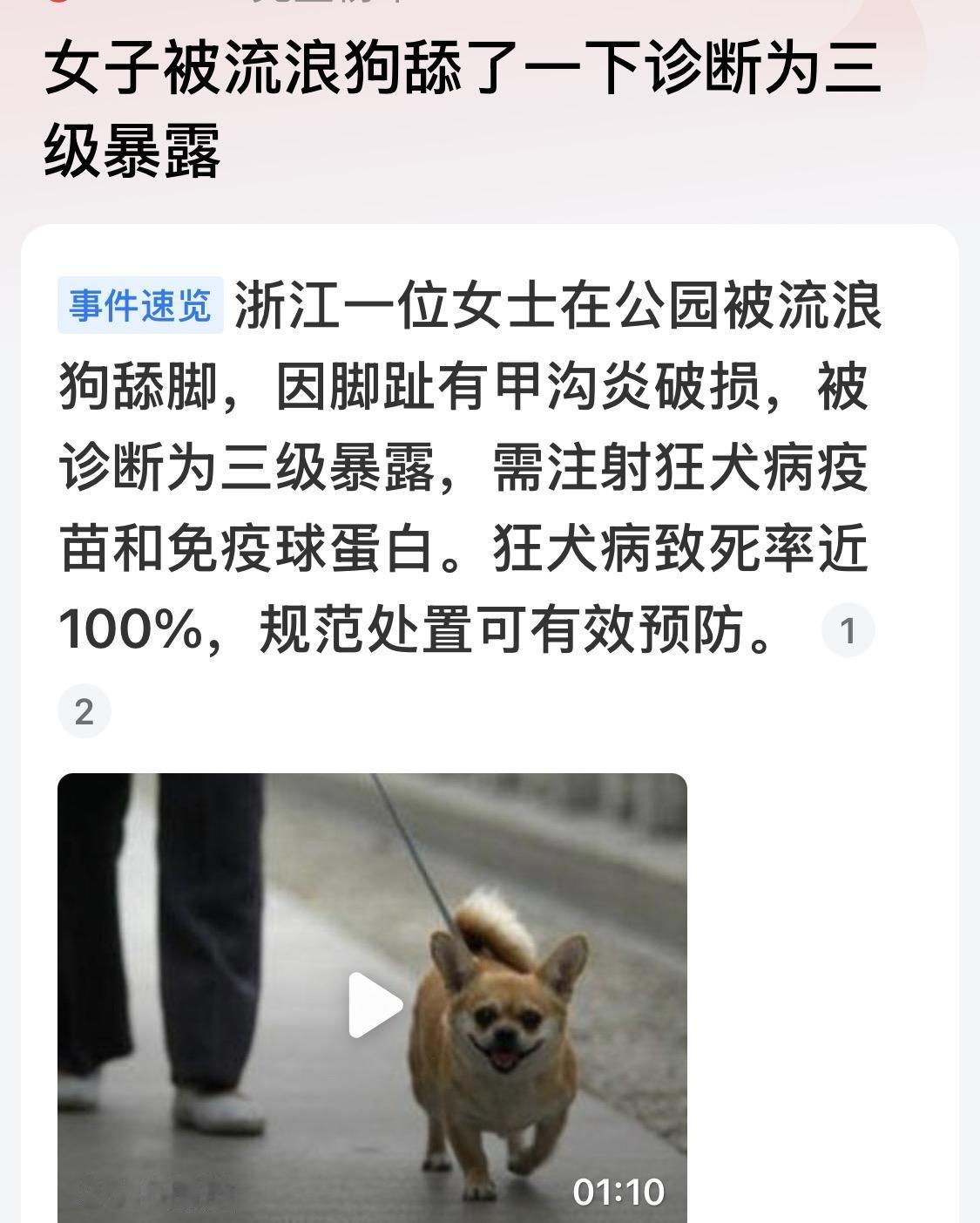 全面禁止狗进入公共场所！！！牵绳遛狗，绳的长度不得超过30厘米。所有饭店、食