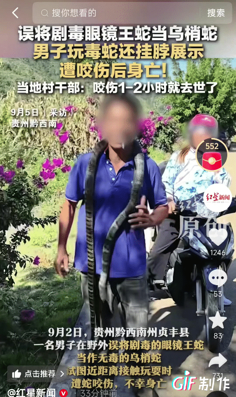 太惨了！9月2日，贵州一男子收割稻谷，发现有条蛇，他把蛇抓住了，弟弟看到了，以为