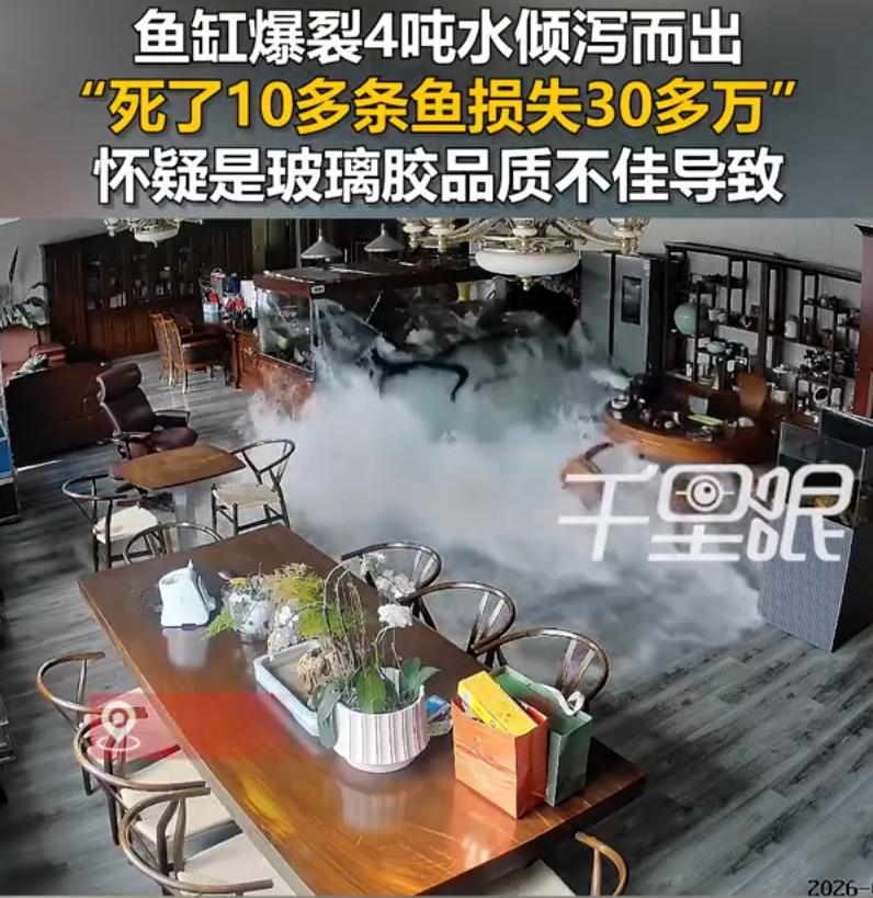 这心态不错！江苏无锡，男子在办公室养了几十万的名贵观赏鱼，不料，鱼缸毫无征兆的炸