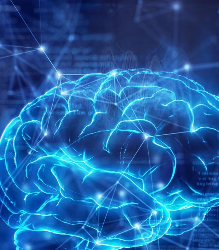 颠覆认知！婴儿大脑不是白纸一张，天生自带“出厂操作系统”美、德、瑞等国联合