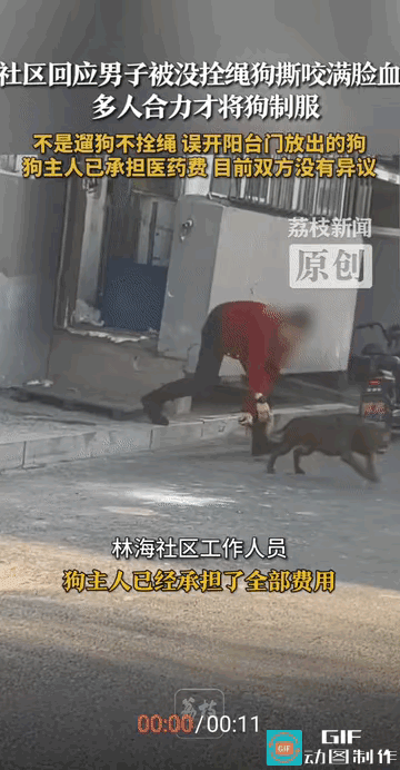 老人误开邻居家的阳台门，给邻居家的狗吓了一跳，这狗有了应激反应了，被恶犬三次撕咬