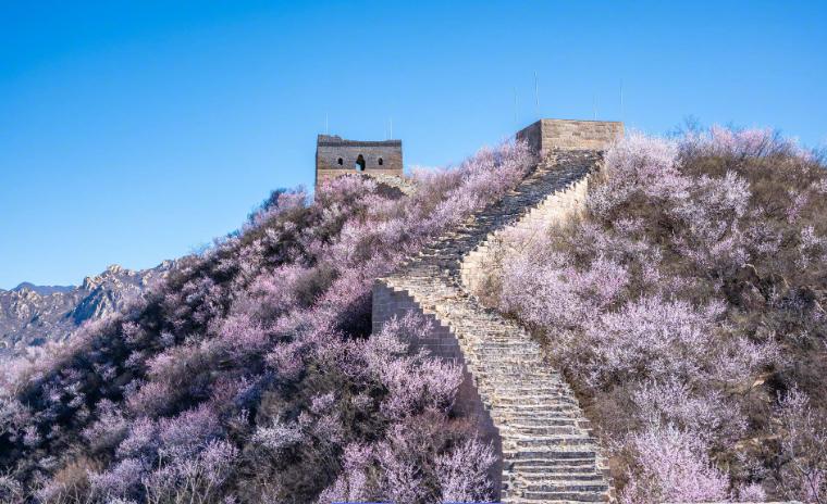 中国北方十大春季旅游好去处排行榜北方的春，褪去了冬日的凛冽与苍茫，带着冰雪消