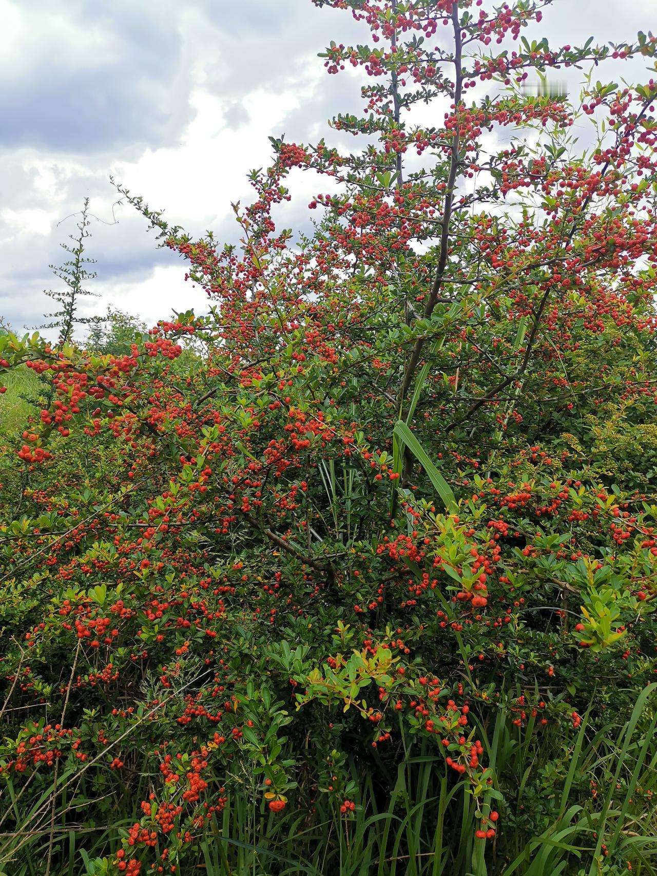 一位100岁老人说：“我啊，能够平平安安、健健康康地活到100岁，可不是靠什