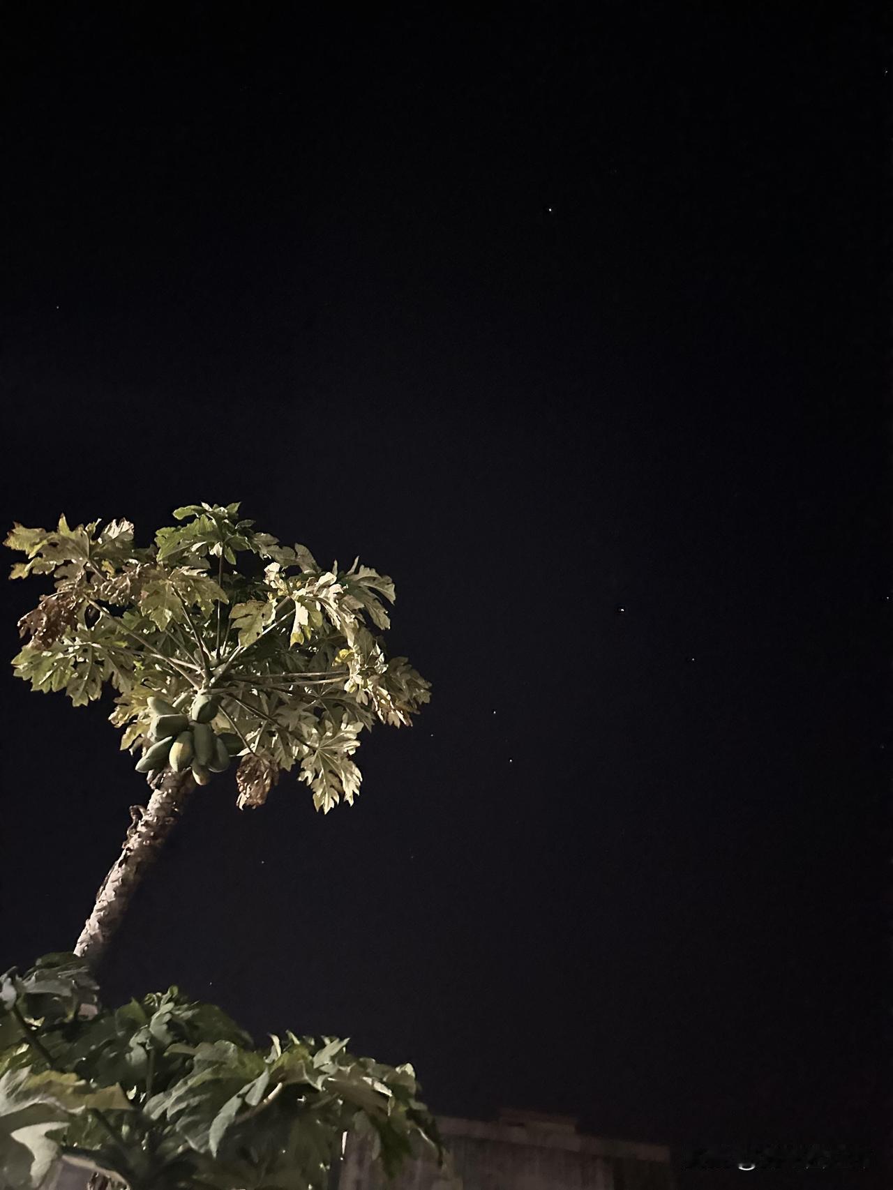 初二回娘家，我在下午三点被催着走初二回娘家，礼品是我自己去超市买好的，他家什么