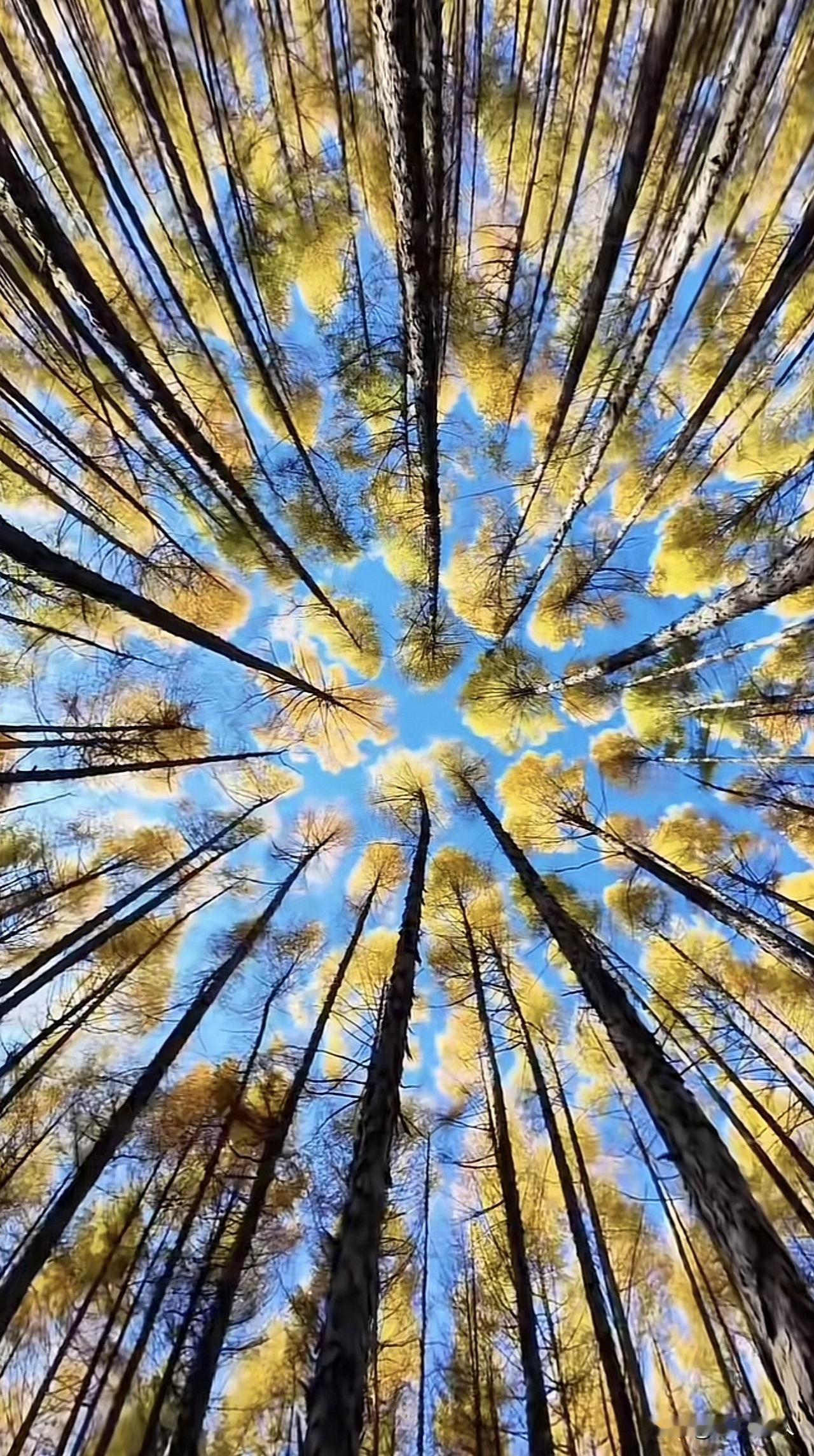 新思维：人一定要敬畏“因果”。其实，敬畏因果从不是迷信，而是对自己的行为与结