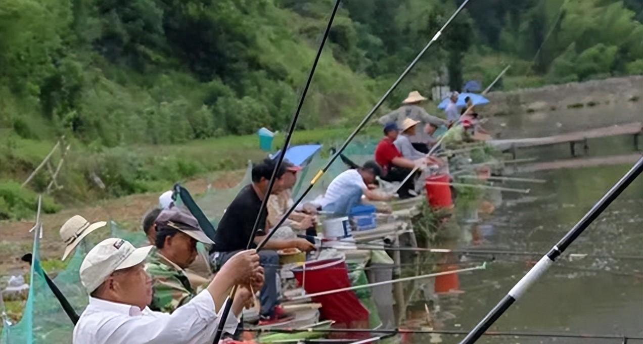 放生惹的祸！珠海钓到“河中凶物”，吞蛙吃鸟，河里如今随处可见珠海斗门幸福河钓到