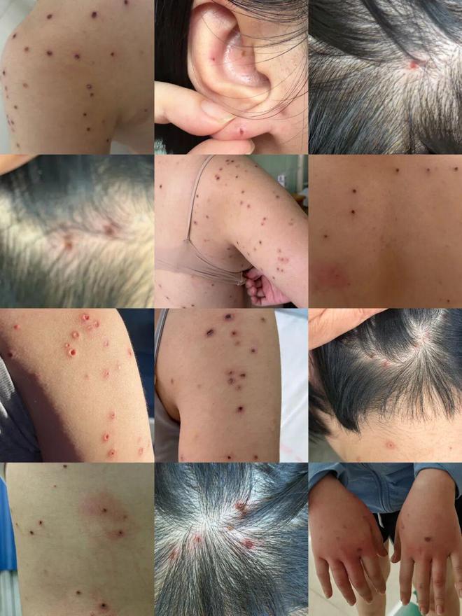 “想想都觉得绝望！”山东淄博，女子与三名朋友在露营地体验飞拉达，结果行至两山之间