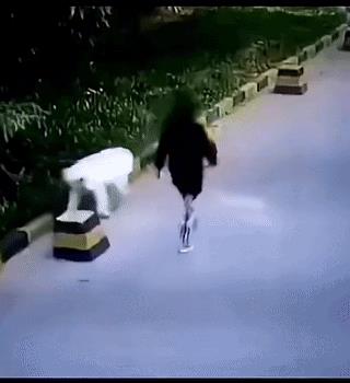 恶人还需恶人磨啊[捂脸哭]，一名时尚女子带着自己的爱犬在街边散步，女子没有给狗栓狗