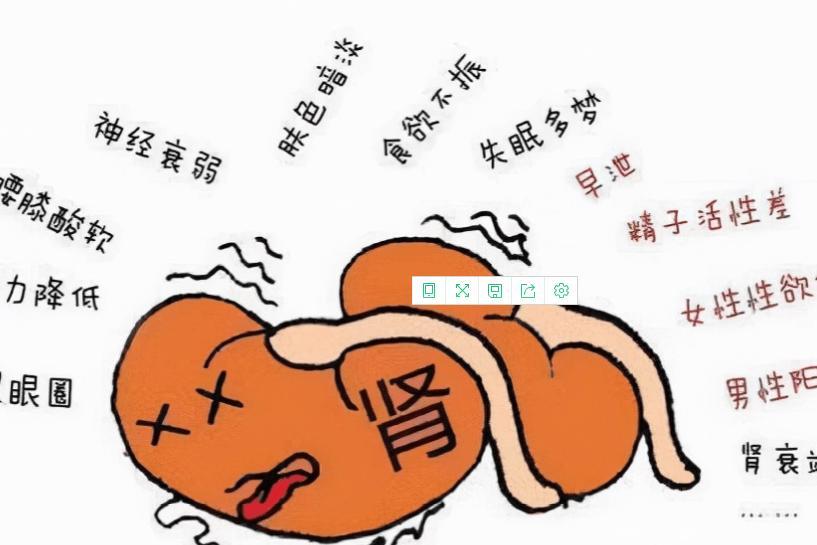 一味药，引精血涌入腰腿间！酸软冷痛全可调，腰腿越养越强健作品声明：个人观点、仅