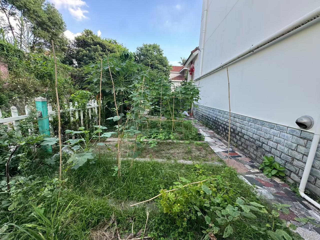 龙华民治端头别墅实景拍摄推荐，非常适合一家人养老住家，可以种植花花草草菜地方啥的