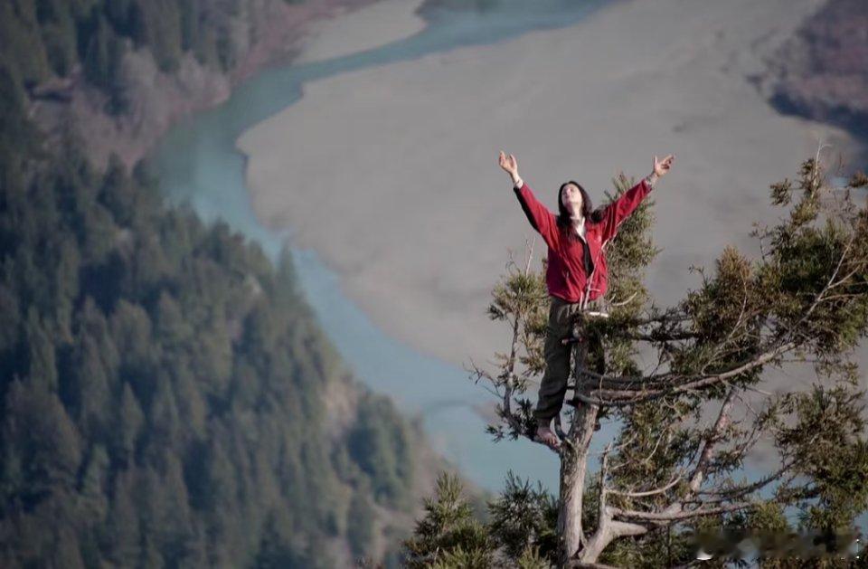 老照片分享&趣事科普:1997年，她爬上了一棵1000年树龄的红杉树738天