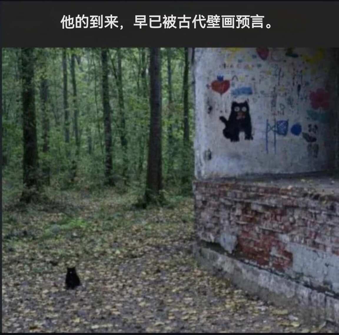 一些meme