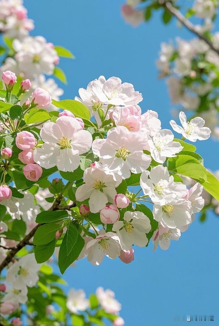 一定不要跟外卖员、快递员或网约车司机吵，否则可能会要了你的命。大家听过“幸福