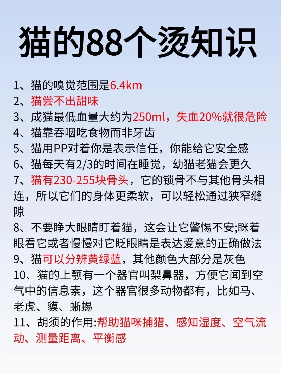 猫猫的88个烫知识，你了解多少？