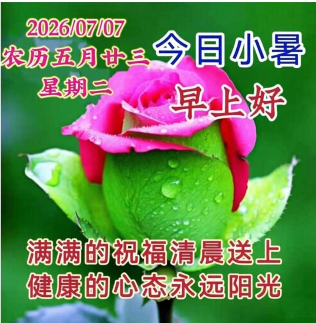 今日7日7日小暑，小暑到来送问候；愿友好运伴左右，安康快乐到永远；小暑来