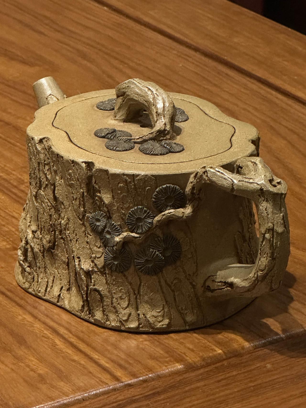 玩紫砂壶很多年了，各类传统光素器型基本上都有接触，尤其是仿古，石瓢，德钟这三类，