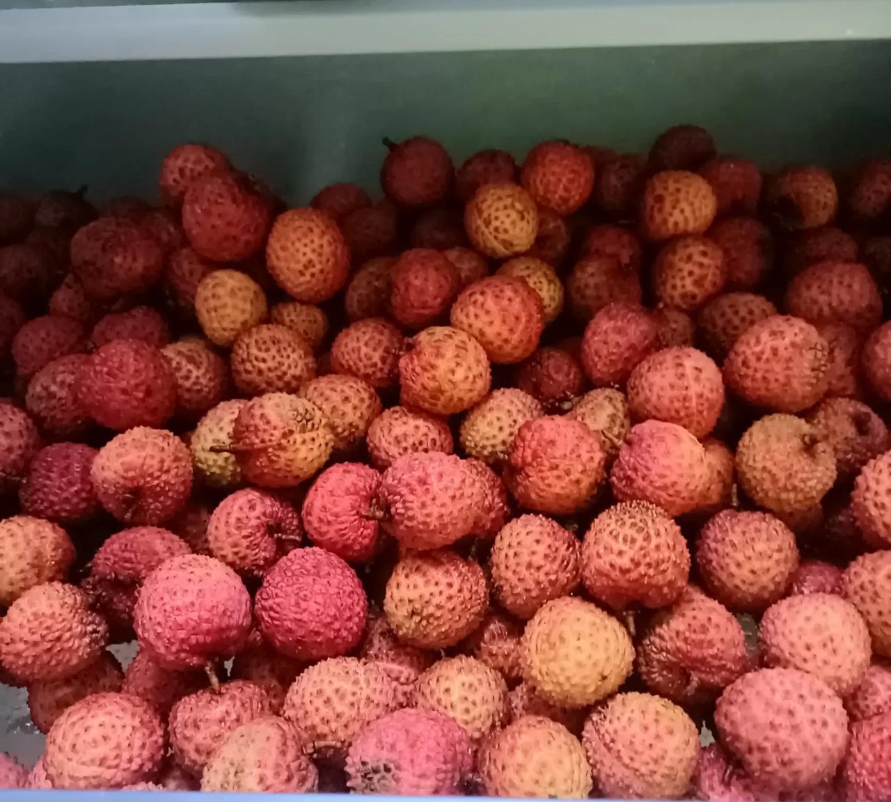 荔枝味美，但变质的速度却赶上坐火箭，买少了吃不过瘾，买多了又容易坏果，如何储存一