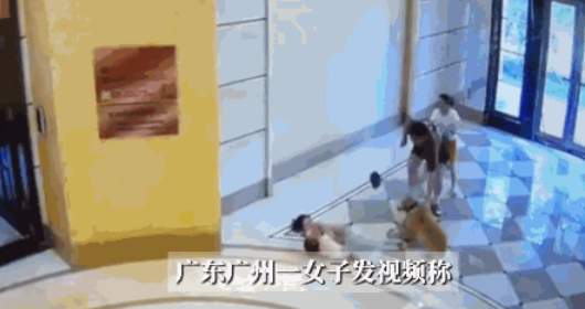 悲剧还是发生了！近日，广东广州，一宝妈抱着1岁的孩子在小区里时，突然被一只没牵绳