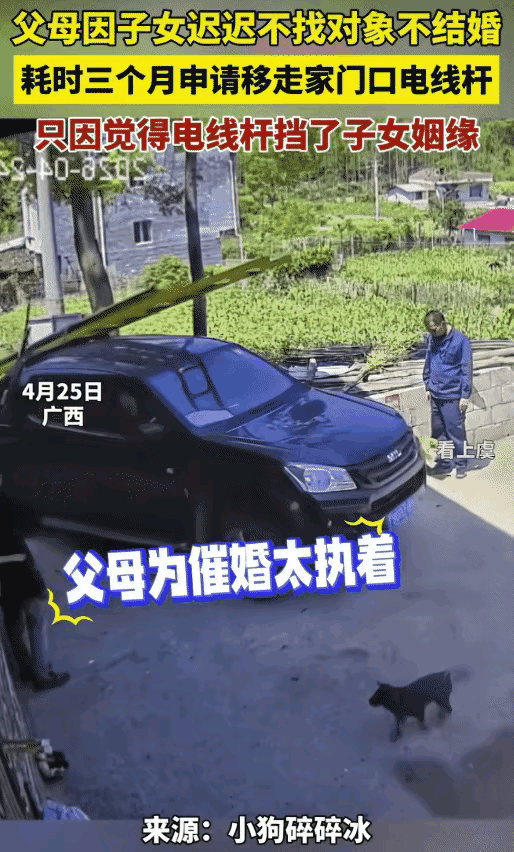 催婚天花板！广西一则趣味日常引发全网爆笑。一名女子迟迟不恋爱、不结婚，婚事成了父