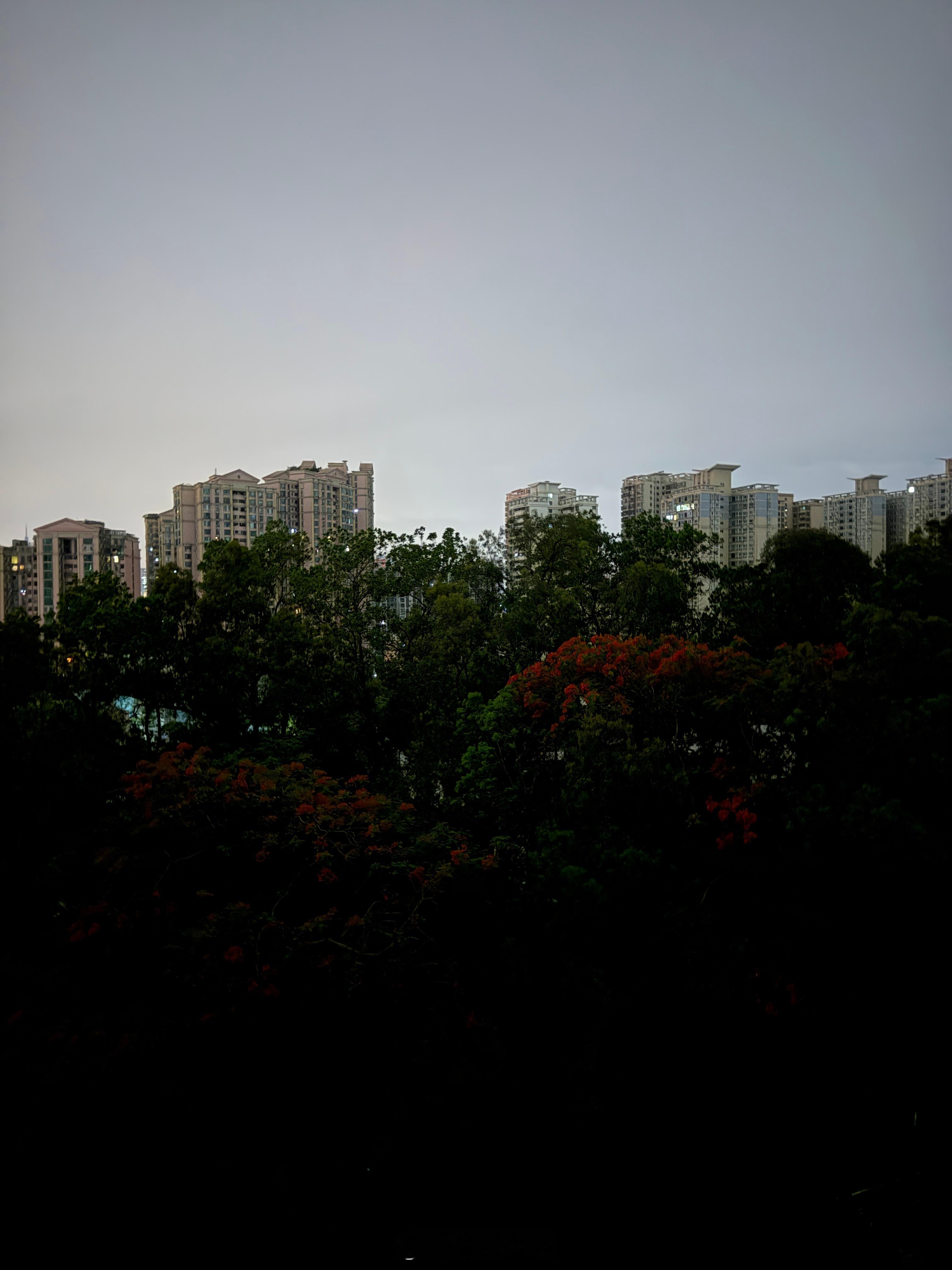 早安，世界。又是一个不眠夜。