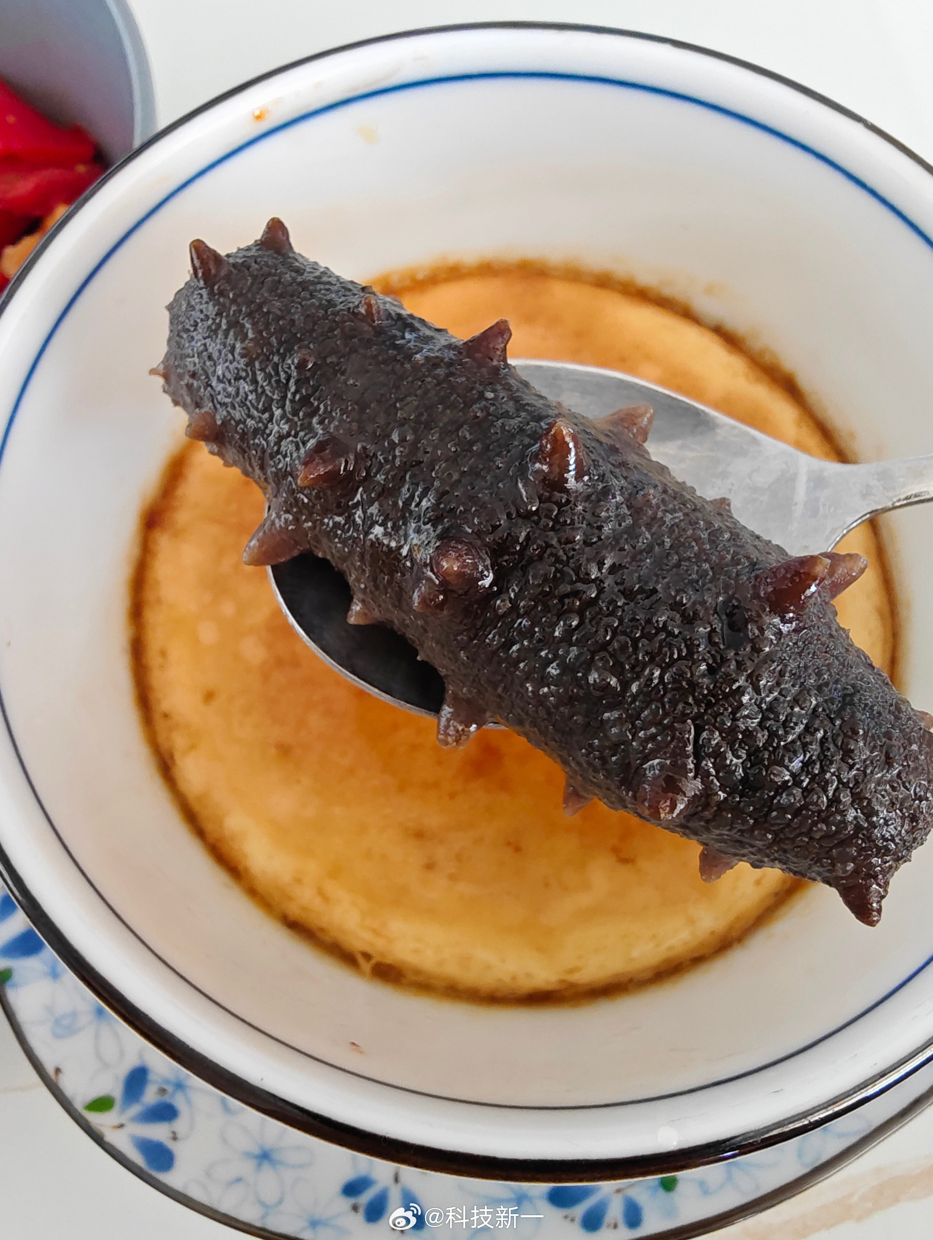 今日早餐，成本10元，大家感受一下