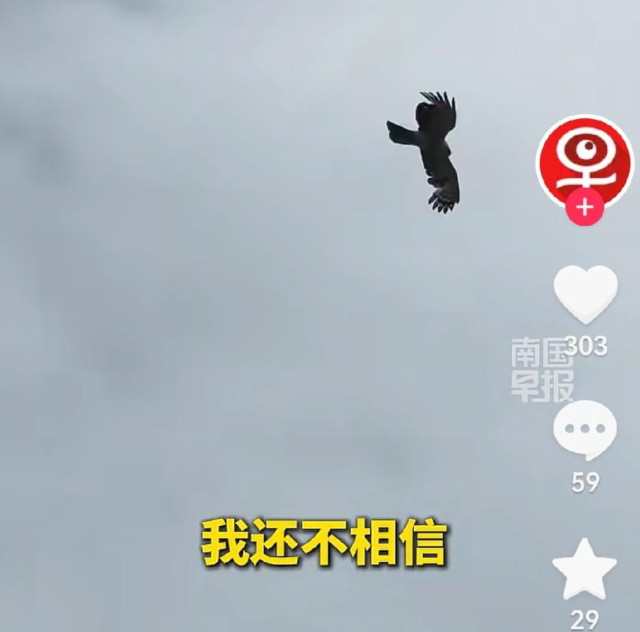 万万没想到，重庆，男子带着妻儿采蘑菇，突然听到“呼”声传来，他不以为意，可抬头后