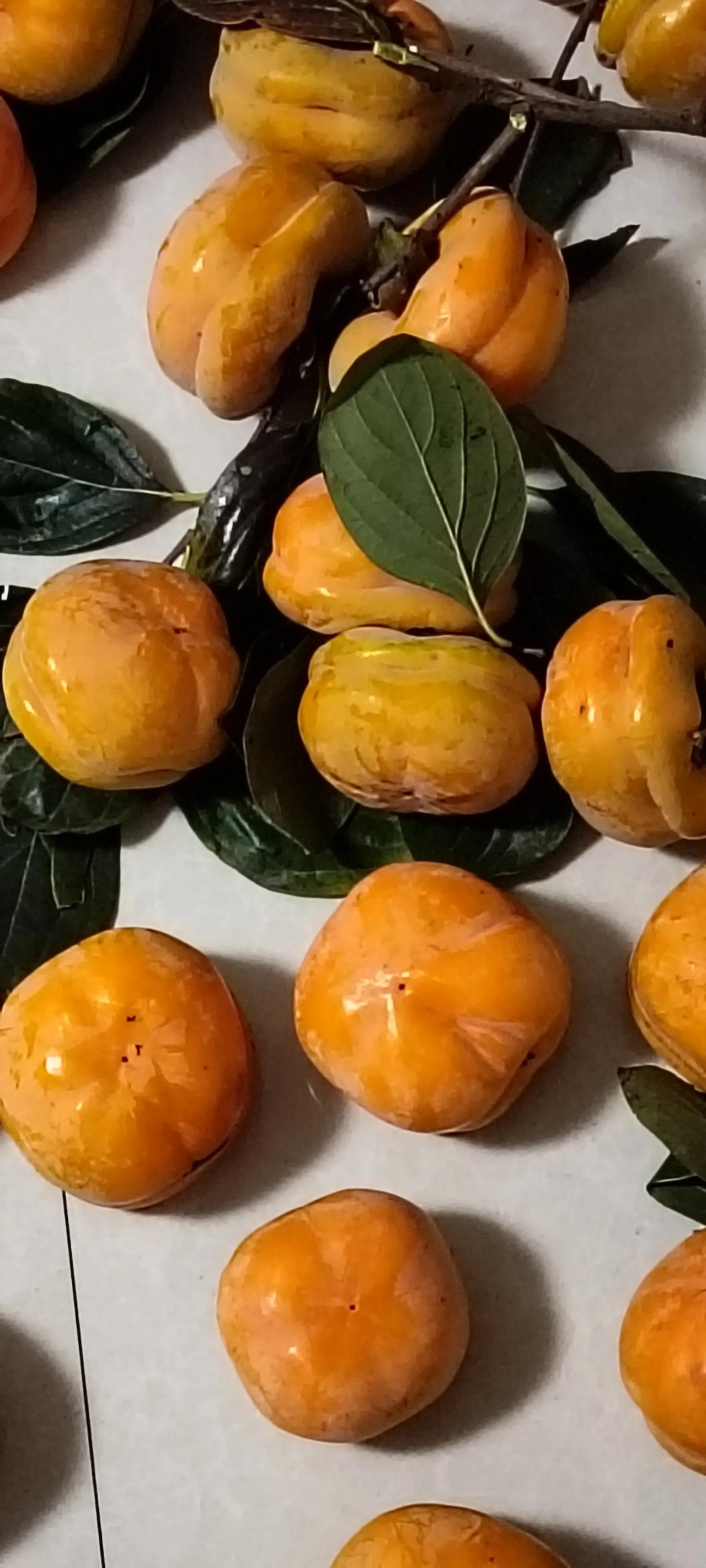 冬日三餐打卡这几天因为我婆婆在住院，老公要陪床，儿子要去那边陪他爷爷，所以家里吃