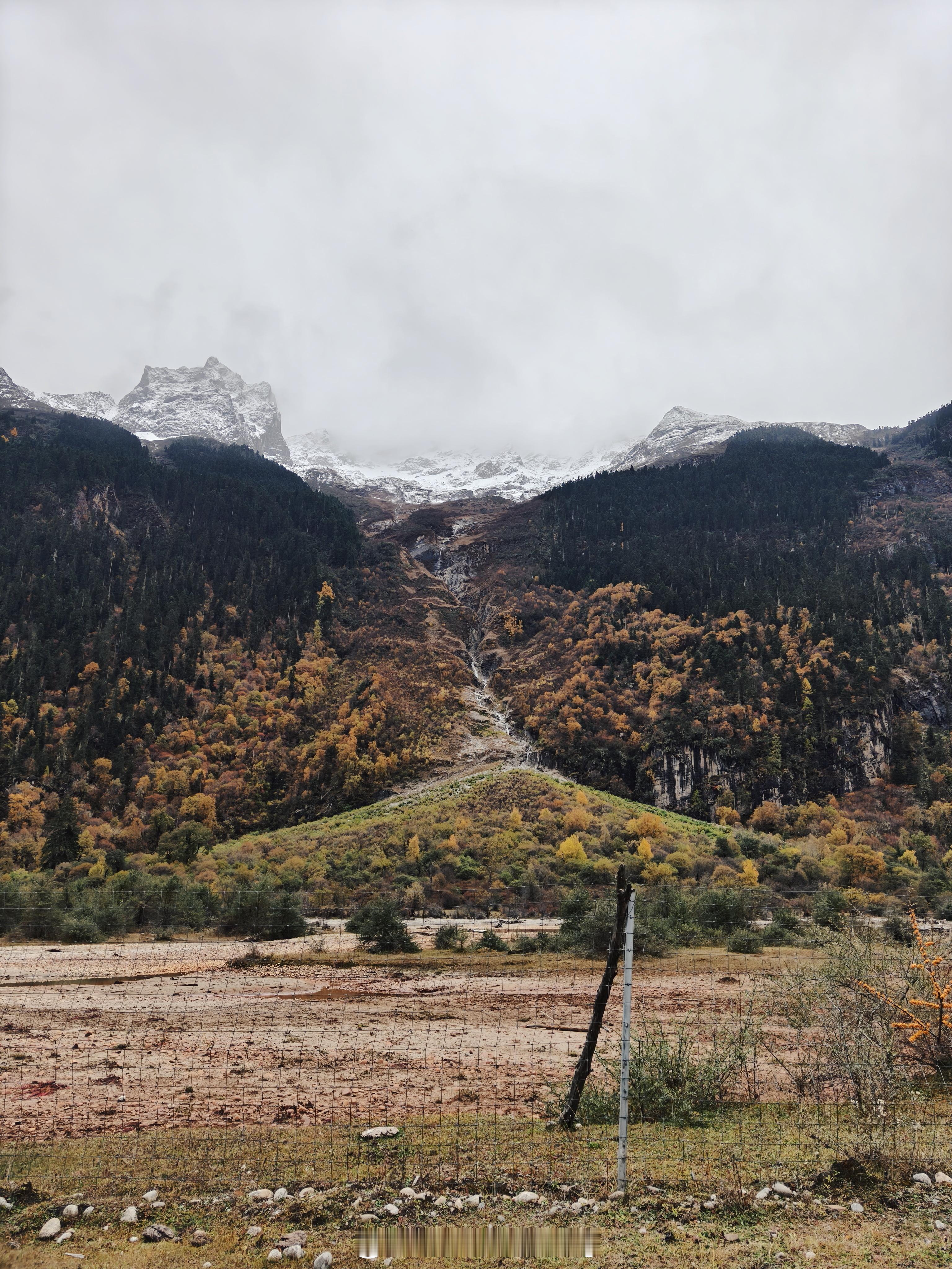 以下图片均由OppoFindX8s拍摄林芝太美了​​​