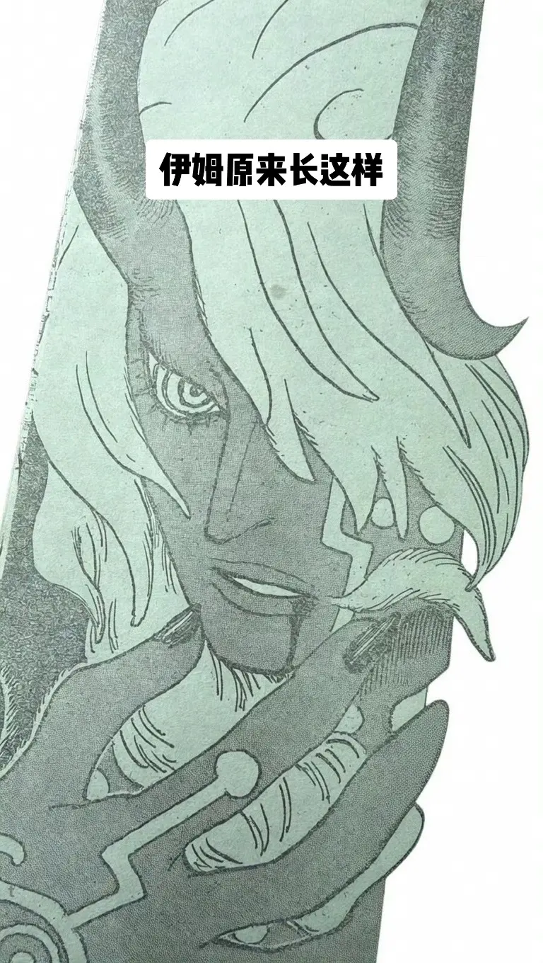 海贼王1179话情报图：伊姆真容！