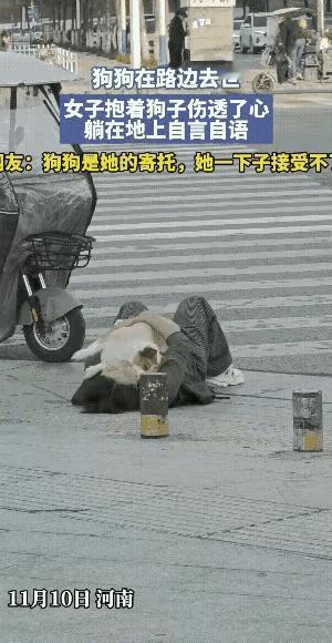 街头那一幕真的看哭无数人！小姐姐抱着倒地的狗狗瘫坐在路边，哭声里