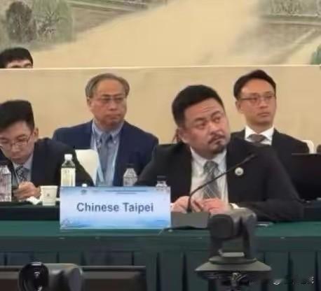 洪申翰这次来南京参会，没办台胞证，走的是特别通道，拿的是会议邀请函。到站
