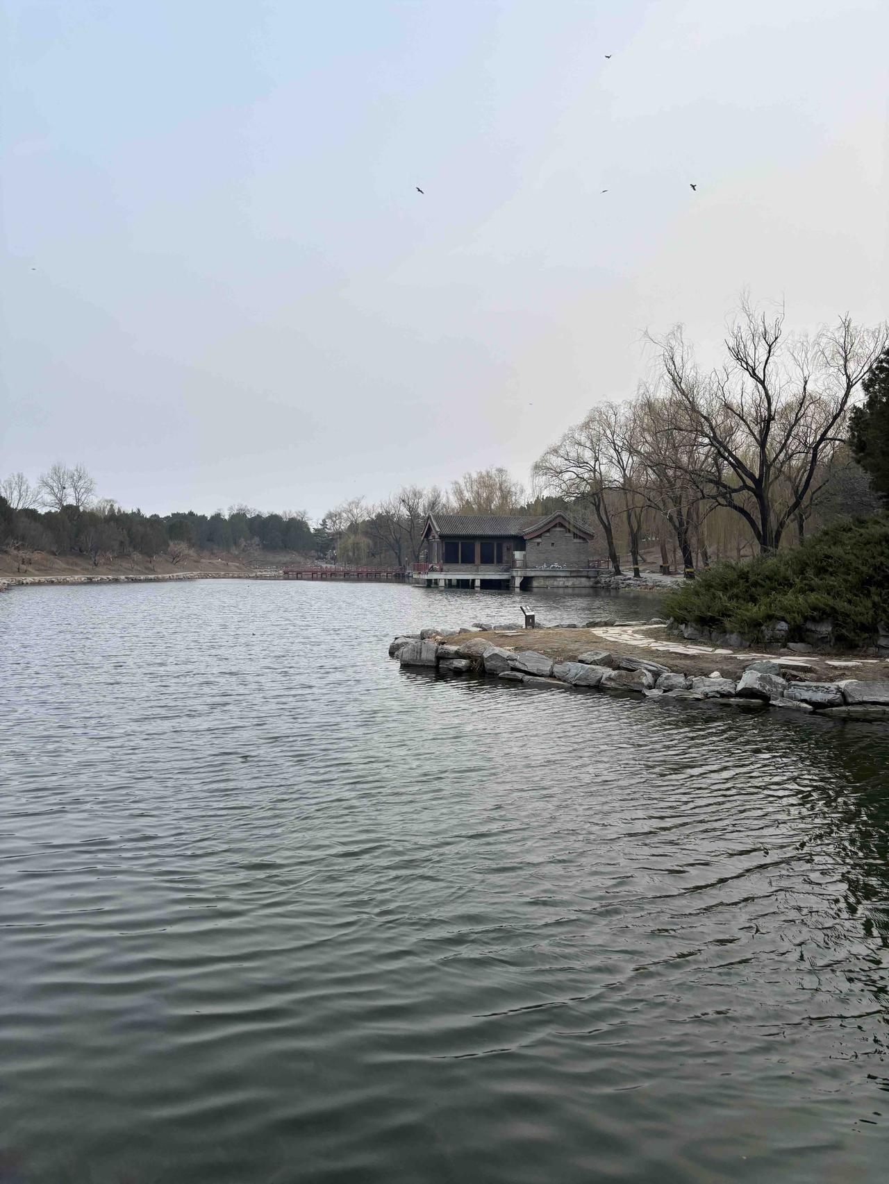 昨天发现清明扫墓对于一些人来说就是动机不纯！昨天扫墓路过一座坟墓，刚好有几个人