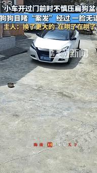 “笑岔气了！”湖南一女子开车回家进车库时，不小心把院子里的狗盆给压扁了，狗子发现