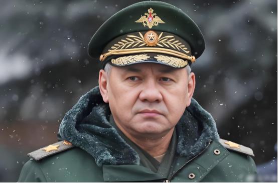 一天时间，绍伊古突然来了，应该事情非常紧急。 绍伊古仅仅来一天，应该是非常紧