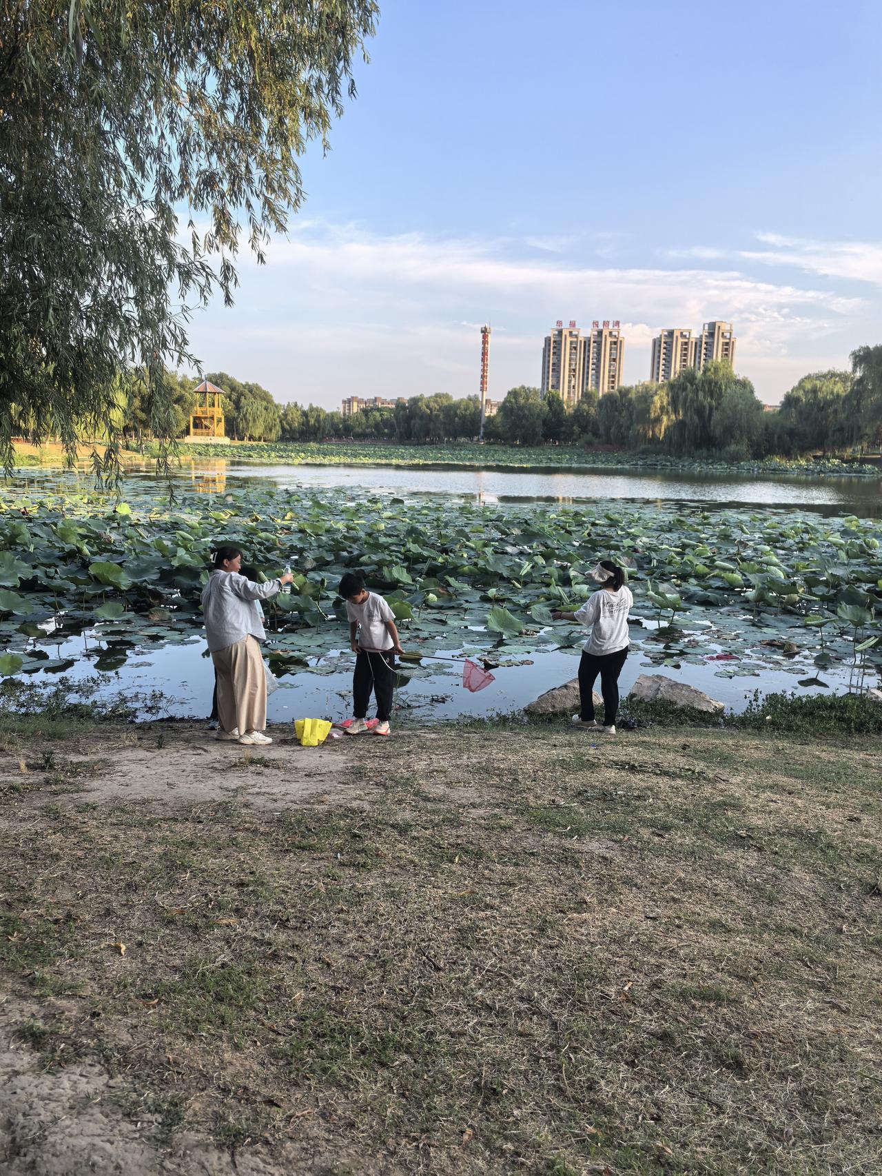 姐姐都已经50岁了，她是从河南嫁到了天津，她唯一的女儿也13岁了，就因为她是河南