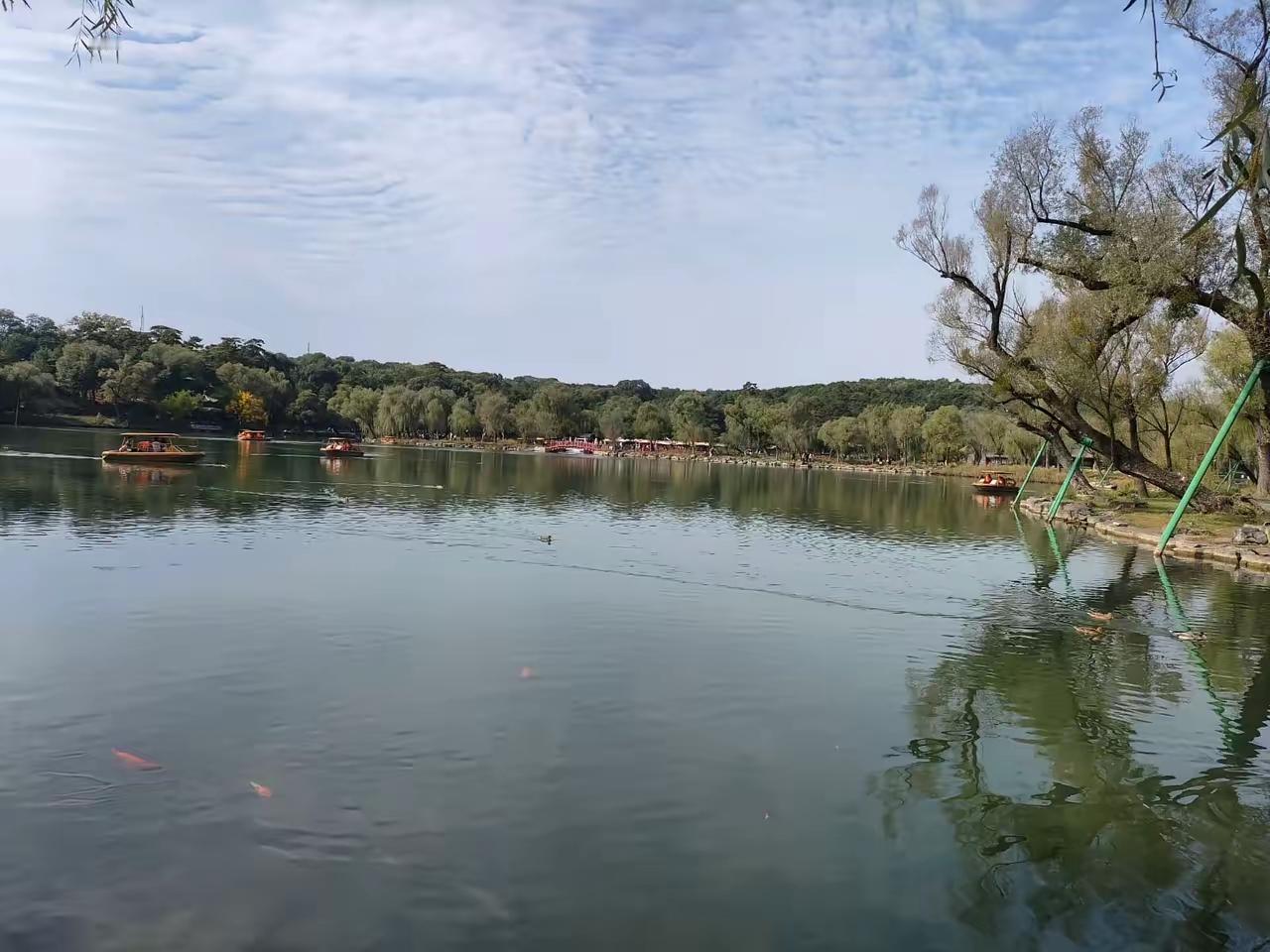 为什么越来越多的员工不爱搭理领导了因为现在的领导大不如从前以前的领导吃肉